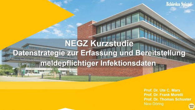 NEGZ_Datenstrategie